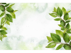 benefits of berberis vulgaris blog in hindi