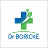 Dr Boricke