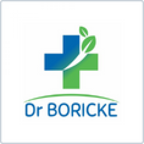 Dr Boricke image