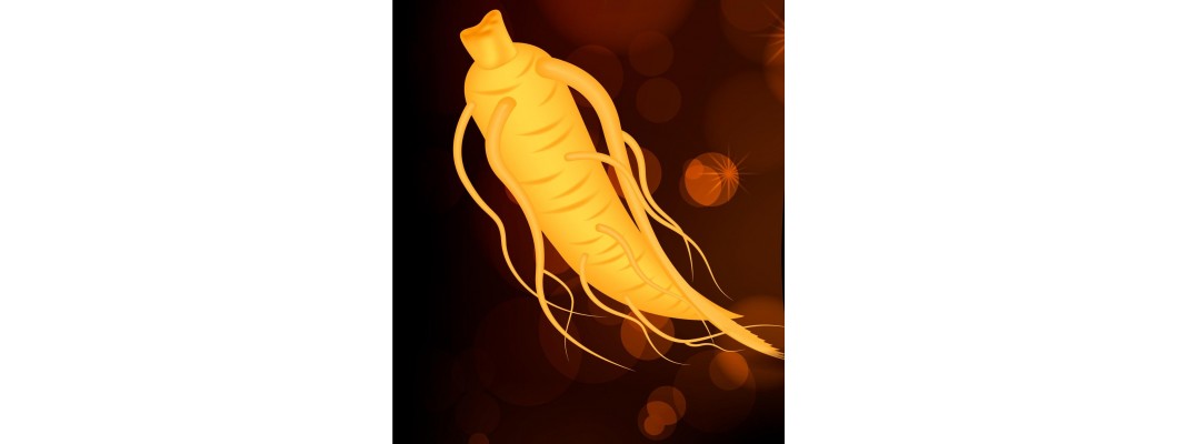 7 Proven Health Benefits of Ginseng 7 Proven Health Benefits of Ginseng