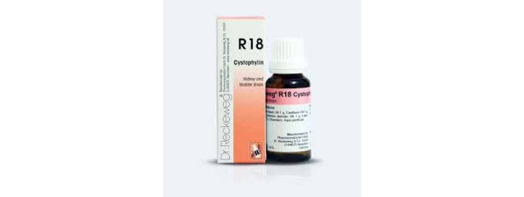 Dr. Reckeweg R18 Kidney and Bladder Drops: Natural Support for Urinary Health Dr. Reckeweg R18 Kidney and Bladder Drops: Natural Support for Urinary Health