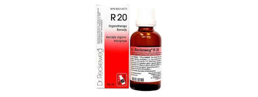 Dr. Reckeweg R20 Glandular Drops: Comprehensive Natural Support for Women’s Hormonal and Glandular Health Dr. Reckeweg R20 Glandular Drops: Comprehensive Natural Support for Women’s Hormonal and Glandular Health