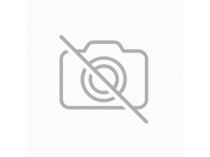 Agnus-Castus benefits hindi blog