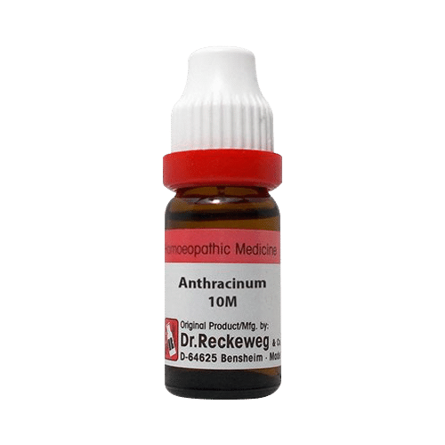 Dr. Reckeweg Anthracinum Dilution 10M CH Dr. Reckeweg Anthracinum Dilution 10M CH