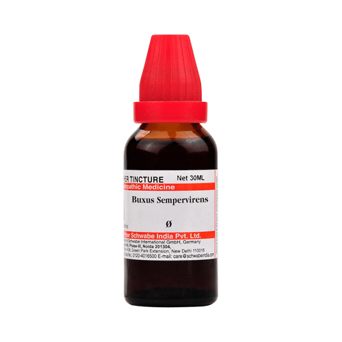 Dr Willmar Schwabe India Buxus Sempervirens Mother Tincture Q Dr Willmar Schwabe India Buxus Sempervirens Mother Tincture Q