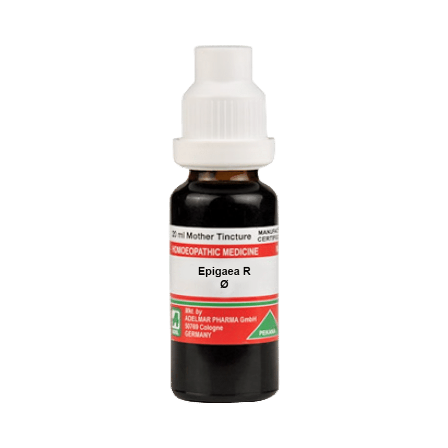 ADEL Epigaea R Mother Tincture Q ADEL Epigaea R Mother Tincture Q