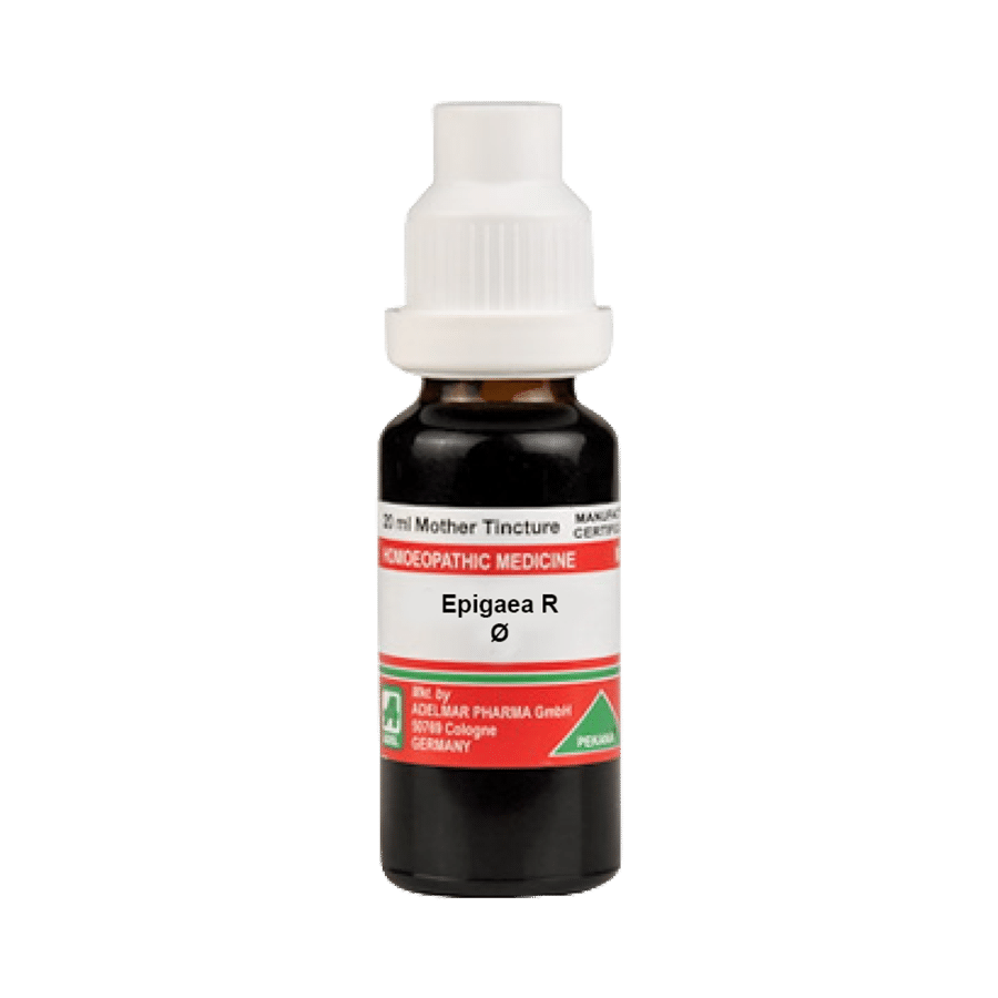 ADEL Epigaea R Mother Tincture Q