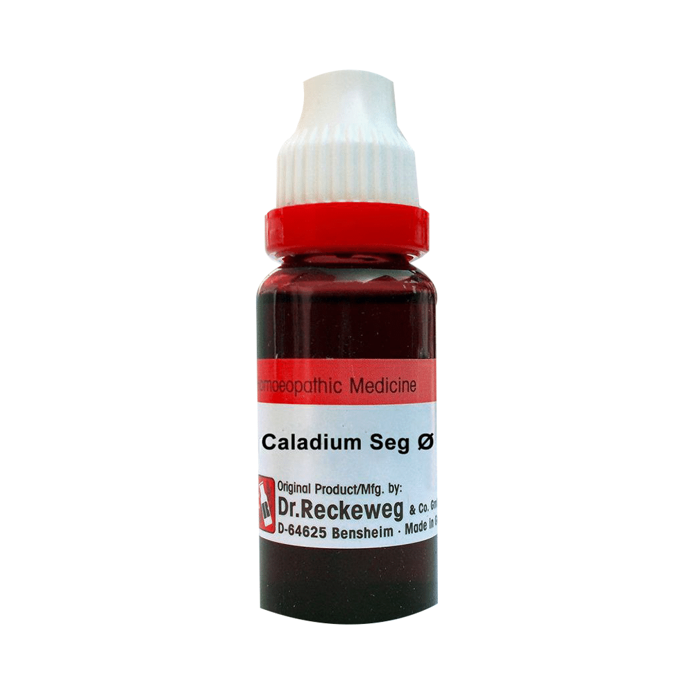 Dr. Reckeweg Caladium Seg Mother Tincture Q Dr. Reckeweg Caladium Seg Mother Tincture Q
