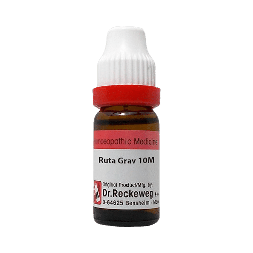 Dr. Reckeweg Ruta Graveolens Dilution 10M CH Dr. Reckeweg Ruta Graveolens Dilution 10M CH