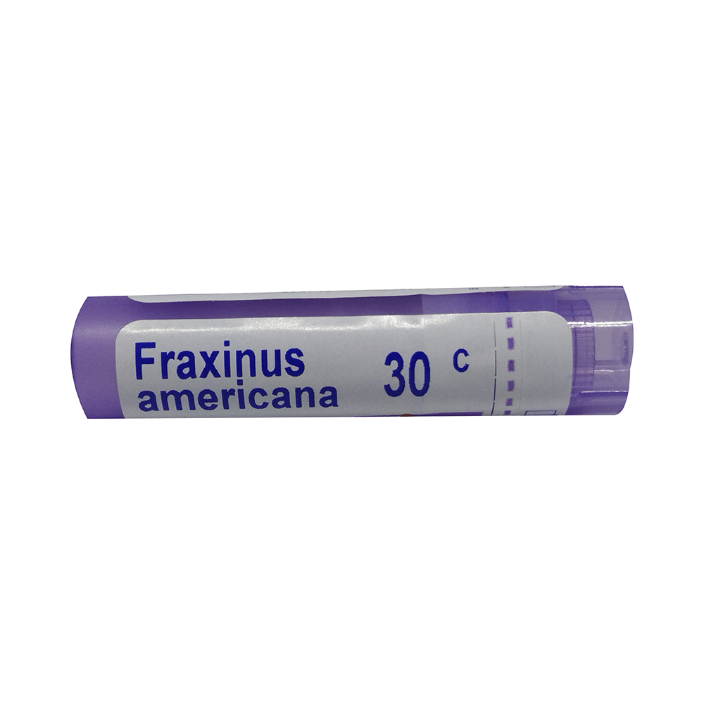 Showing image for Boiron Fraxinus Americana Pellets 30C Boiron Fraxinus Americana Pellets 30C image