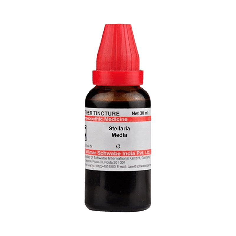 Dr Willmar Schwabe India Stellaria Media Mother Tincture Q