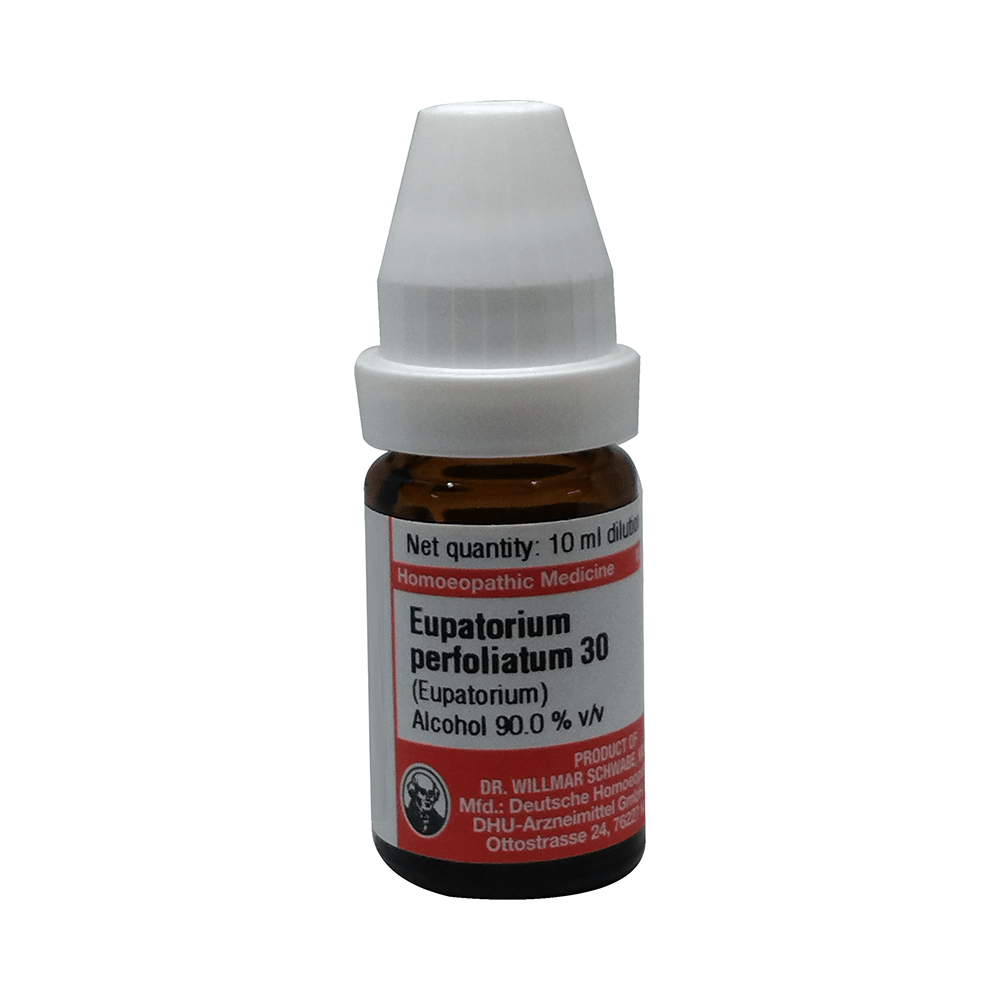 Dr Willmar Schwabe Germany Eupatorium Perfoliatum Dilution 30 Dr Willmar Schwabe Germany Eupatorium Perfoliatum Dilution 30
