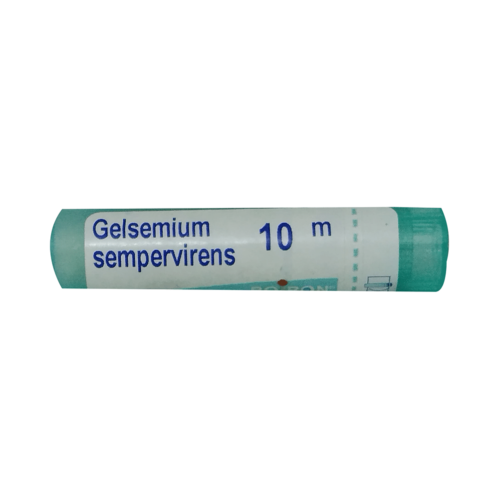Showing image for Boiron Gelsemium Sempervirens Pellets 10M Boiron Gelsemium Sempervirens Pellets 10M image