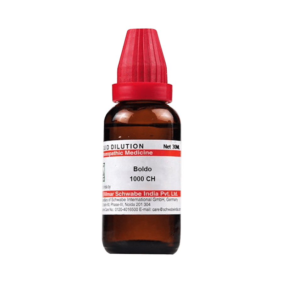 Dr Willmar Schwabe India Boldo Dilution 1000 CH Dr Willmar Schwabe India Boldo Dilution 1000 CH