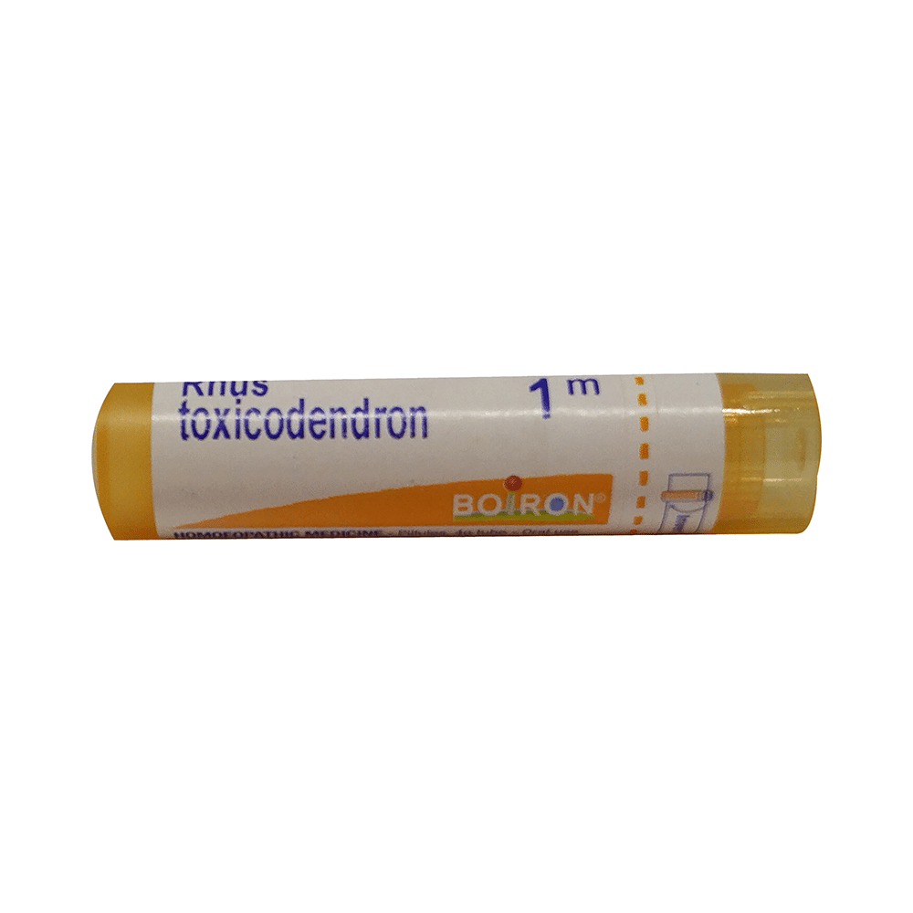 Showing image for Boiron Rhus Toxicodendron Pellets 1M Boiron Rhus Toxicodendron Pellets 1M Homeopathy Medicine for Bone, Joint & Muscles, Homeopathy Medicine for Arthritis, Homeopathic medicine for Digestive System, Homeopathic medicine for Nausea & Vomiting, Homeopathic medicine for Respiratory System, Home