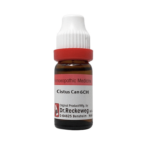 Dr. Reckeweg Cistus Can Dilution 6 CH