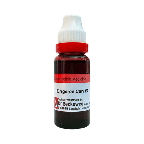 Dr. Reckeweg Erigeron Can Mother Tincture Q Dr. Reckeweg Erigeron Can Mother Tincture Q