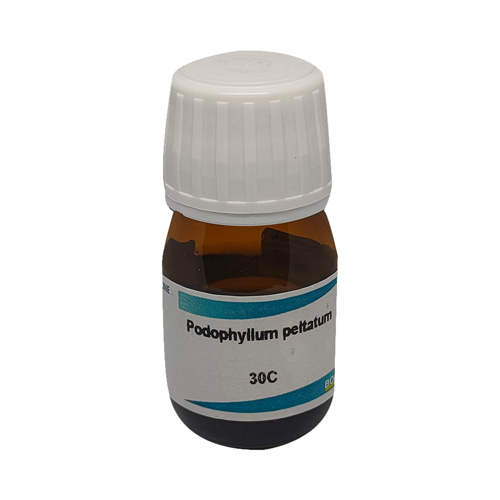 Showing image for Boiron Podophyllum Peltatum Dilution 30C Boiron Podophyllum Peltatum Dilution 30C image
