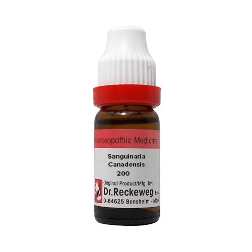Dr. Reckeweg Sanguinaria Canadensis Dilution 200 CH Dr. Reckeweg Sanguinaria Canadensis Dilution 200 CH