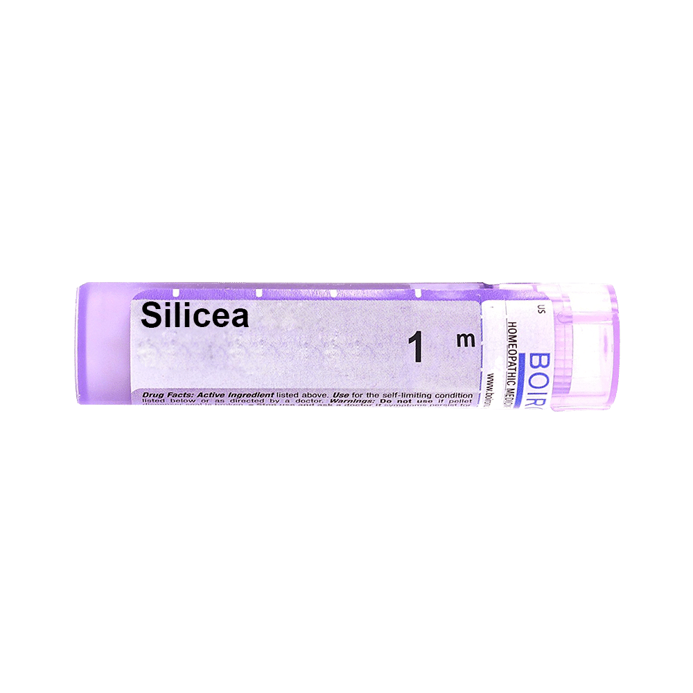 Showing image for Boiron Silicea Pellets 1M Boiron Silicea Pellets 1M image