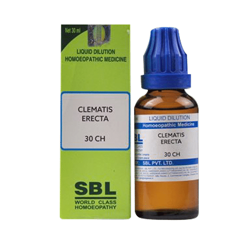 SBL Clematis Erecta Dilution 30 CH