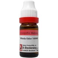 Dr. Reckeweg Viola Odor Dilution 1000 CH