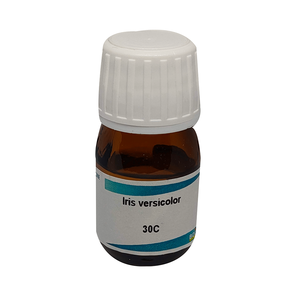 Showing image for Boiron Iris Versicolor Dilution 30C Boiron Iris Versicolor Dilution 30C Dilutions Homeopathy image