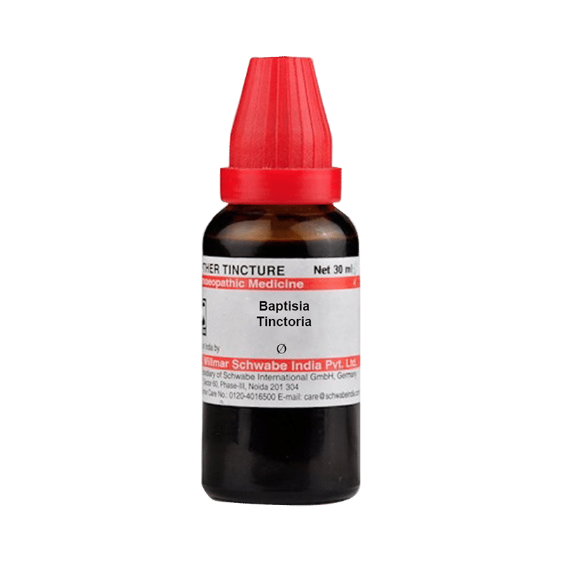 Dr Willmar Schwabe India Baptisia Tinctoria Mother Tincture Q