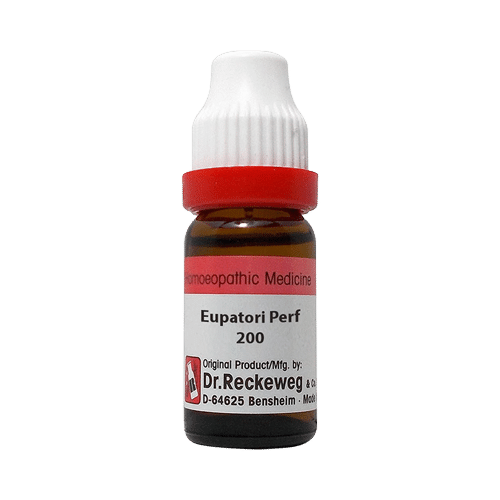 Dr. Reckeweg Eupatorium Perf Dilution 200 CH Dr. Reckeweg Eupatorium Perf Dilution 200 CH