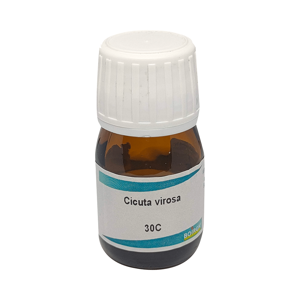 Boiron Cicuta Virosa Dilution 30C Dilutions Homeopathy image