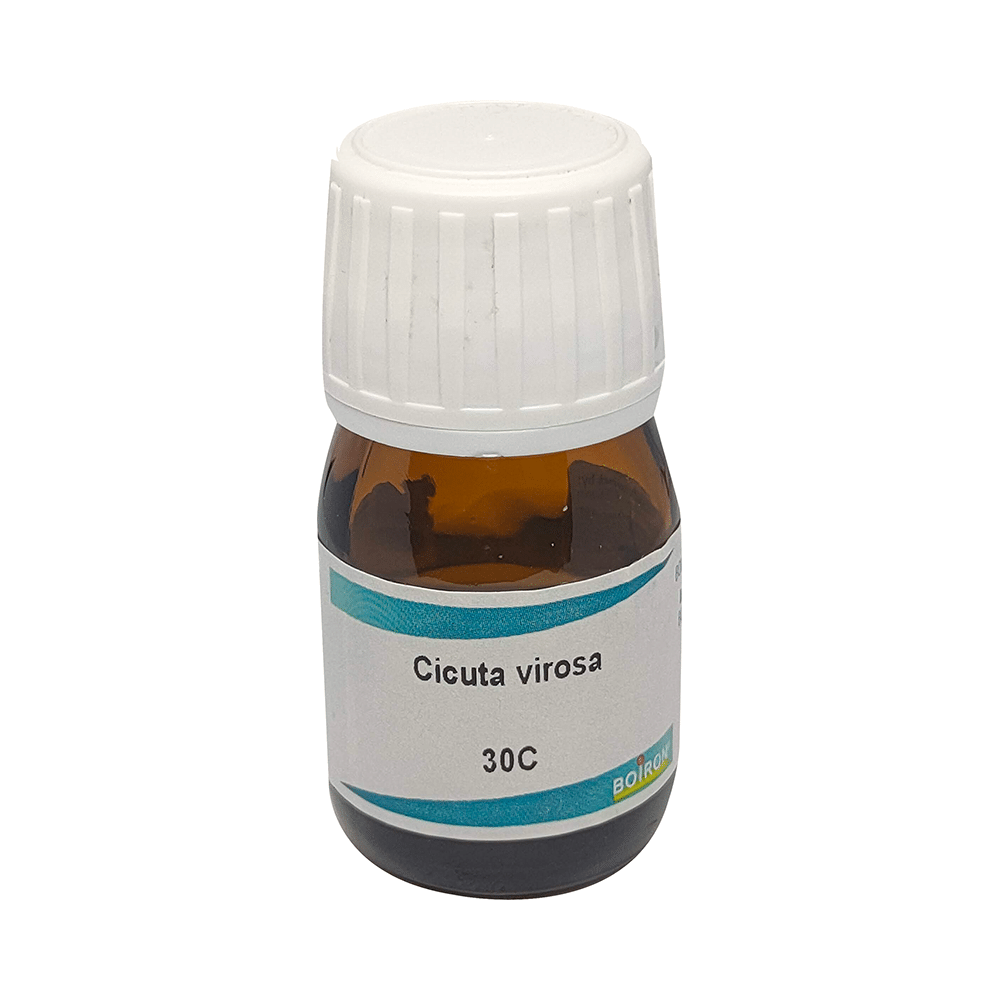 Showing image for Boiron Cicuta Virosa Dilution 30C Boiron Cicuta Virosa Dilution 30C Dilutions Homeopathy image
