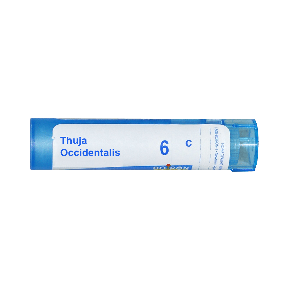 Showing image for Boiron Thuja Occidentalis Multi Dose Approx 80 Pellets 6 CH Boiron Thuja Occidentalis Multi Dose Approx 80 Pellets 6 CH 6 CH, Homeopathic medicine for Digestive System, Homeopathic medicine for Constipation, Homeopathic medicine for Gastritis, Acidity & Indigestion, Homeopathic medicine for Loss of Appetite, Homeo