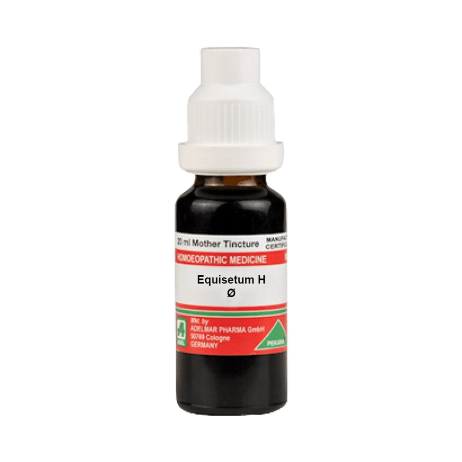 ADEL Equisetum H Mother Tincture Q ADEL Equisetum H Mother Tincture Q