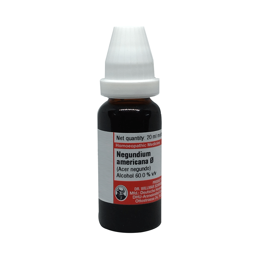 Dr Willmar Schwabe Germany Negundium Americana Mother Tincture Q Dr Willmar Schwabe Germany Negundium Americana Mother Tincture Q