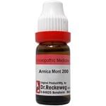 Dr. Reckeweg Arnica Mont Dilution 200 CH Dr. Reckeweg Arnica Mont Dilution 200 CH