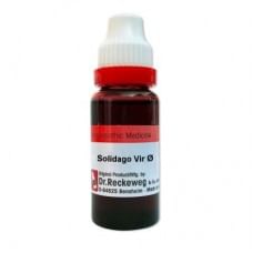 Dr. Reckeweg Solidago Vir Mother Tincture Q Dr. Reckeweg Solidago Vir Mother Tincture Q