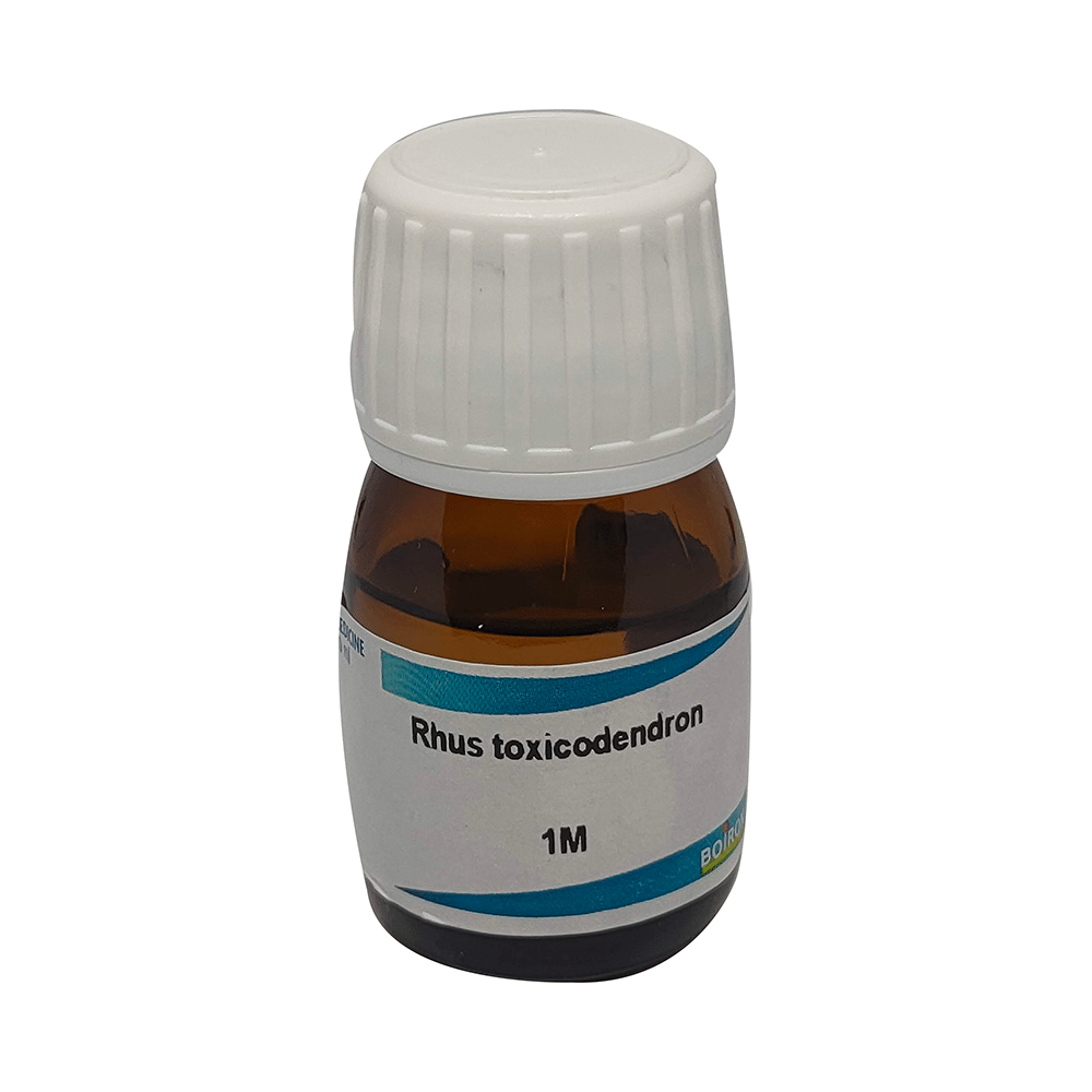 Showing image for Boiron Rhus Toxicodendron Dilution 1M Boiron Rhus Toxicodendron Dilution 1M Dilutions Homeopathy image
