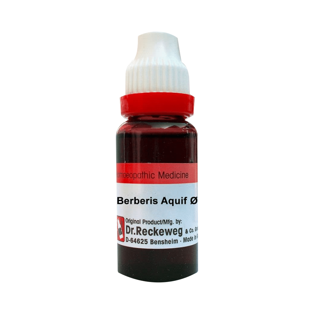 Dr. Reckeweg Berberis Aquif Mother Tincture Q Dr. Reckeweg Berberis Aquif Mother Tincture Q