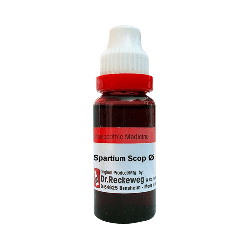 Dr. Reckeweg Spartium Scop Mother Tincture Q Dr. Reckeweg Spartium Scop Mother Tincture Q
