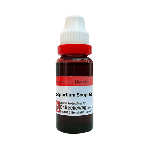 Dr. Reckeweg Spartium Scop Mother Tincture Q