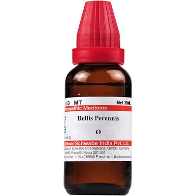 Dr Willmar Schwabe India Bellis Perennis Mother Tincture Q Dr Willmar Schwabe India Bellis Perennis Mother Tincture Q