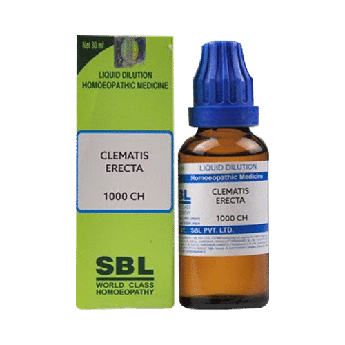 SBL Clematis Erecta Dilution 1000 CH