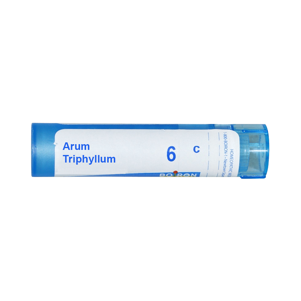 Showing image for Boiron Arum Triphyllum Multi Dose Approx 80 Pellets 6 CH Boiron Arum Triphyllum Multi Dose Approx 80 Pellets 6 CH 6 CH, Homeopathic medicine for Nervous System, Homeopathic medicine for Headache & Migraine image