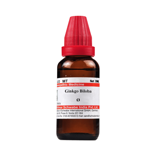 Dr Willmar Schwabe India Ginkgo Biloba Mother Tincture Q Dr Willmar Schwabe India Ginkgo Biloba Mother Tincture Q