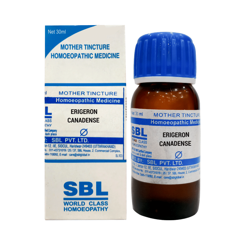 SBL Erigeron Canadensis Mother Tincture Q SBL Erigeron Canadensis Mother Tincture Q