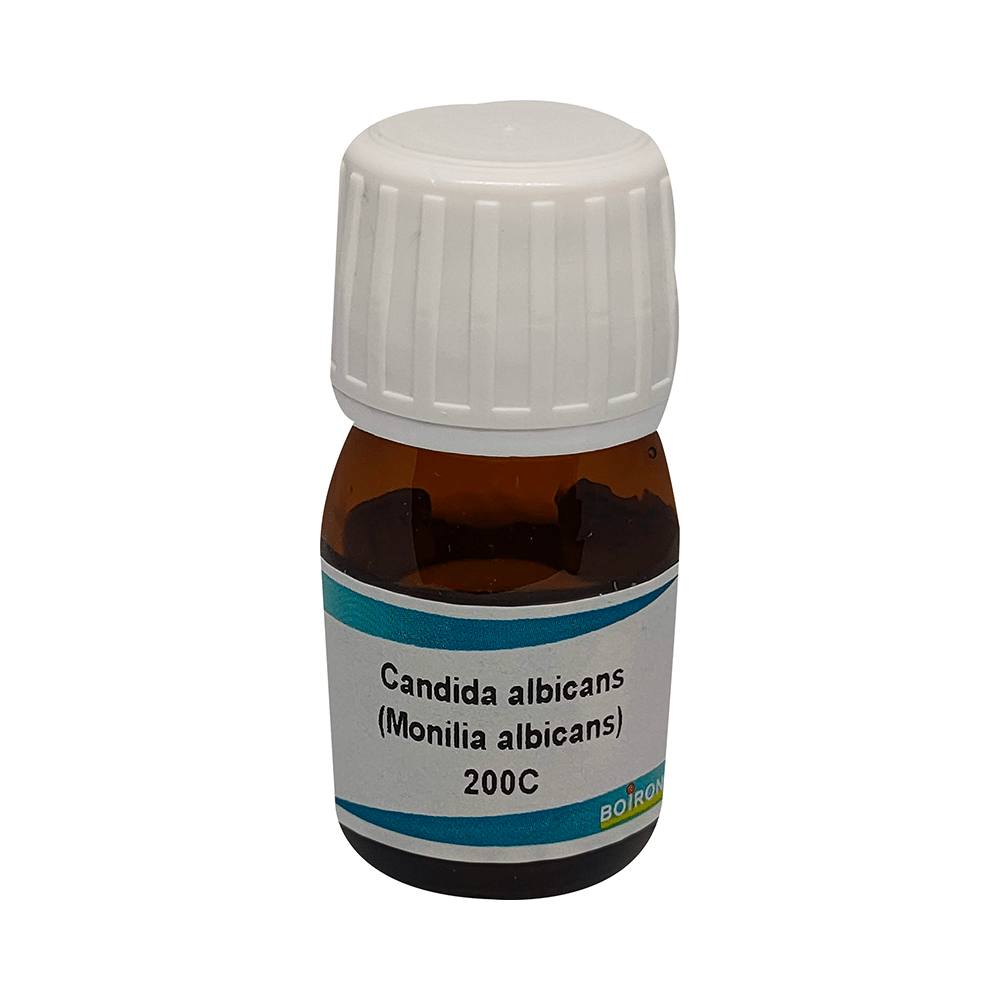 Showing image for Boiron Candida Albicans (Monilia Albicans) Dilution 200C Boiron Candida Albicans (Monilia Albicans) Dilution 200C image