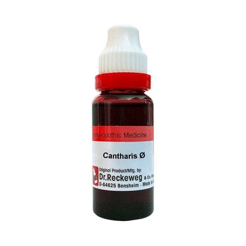 Dr. Reckeweg Cantharis Mother Tincture Q Dr. Reckeweg Cantharis Mother Tincture Q
