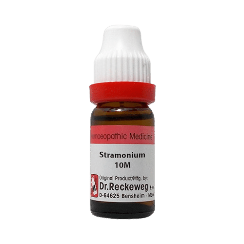 Dr. Reckeweg Stramonium Dilution 10M CH Dr. Reckeweg Stramonium Dilution 10M CH