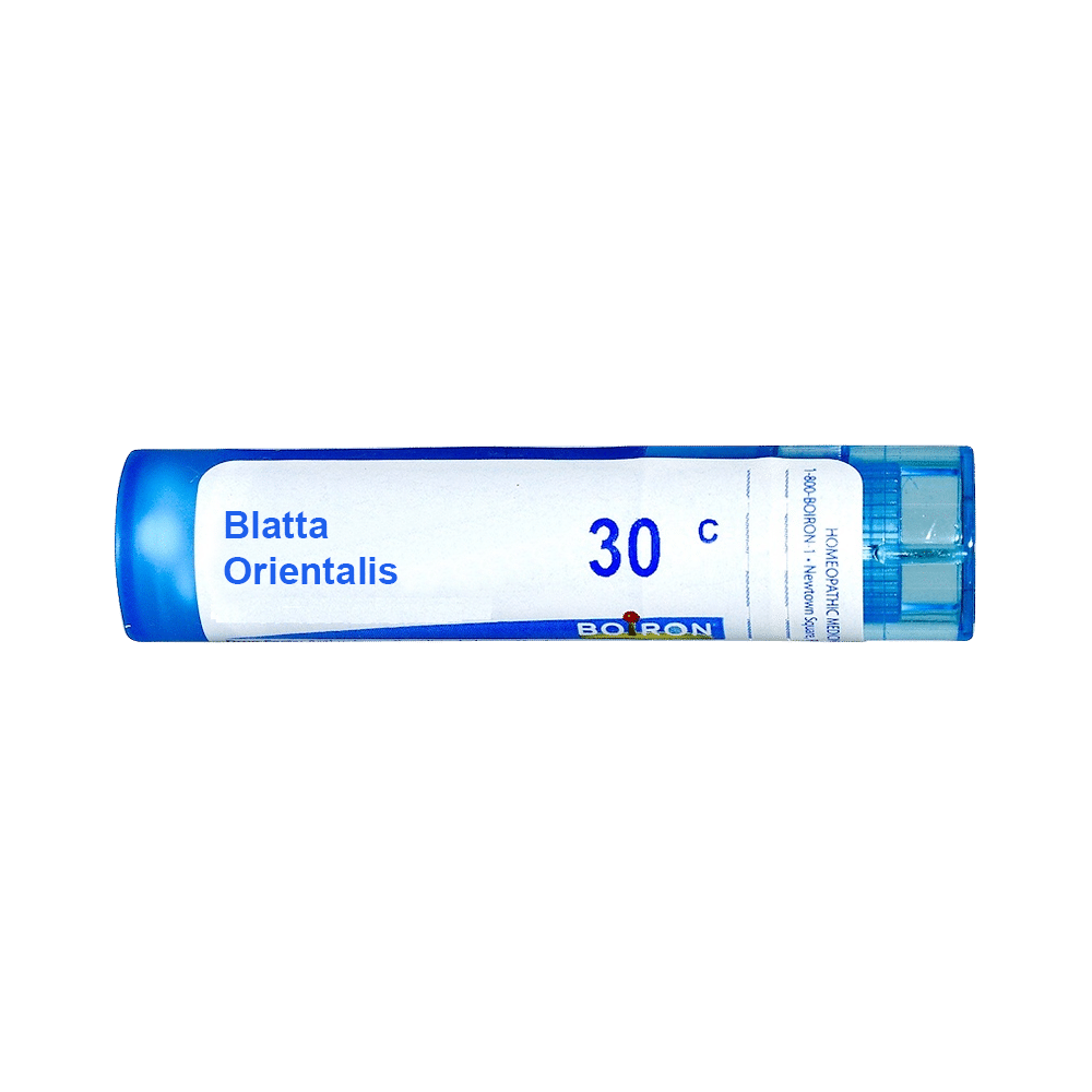 Showing image for Boiron Blatta Orientalis Multi Dose Approx 80 Pellets 30 CH Boiron Blatta Orientalis Multi Dose Approx 80 Pellets 30 CH image