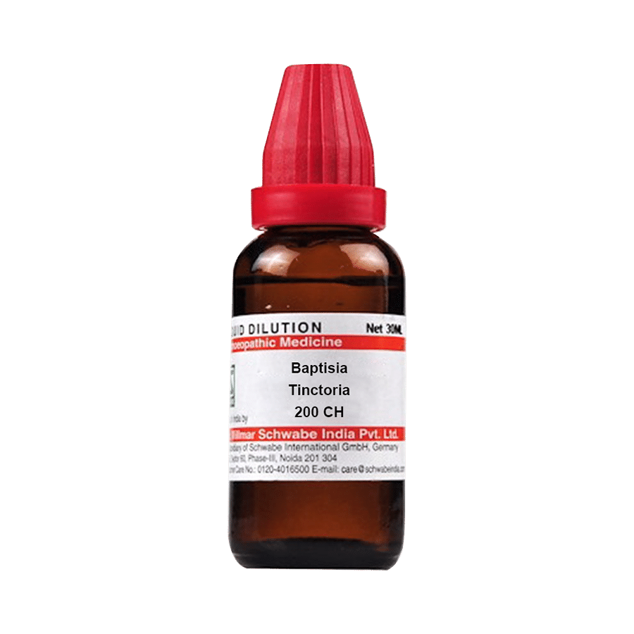 Dr Willmar Schwabe India Baptisia Tinctoria Dilution 200 CH Dr Willmar Schwabe India Baptisia Tinctoria Dilution 200 CH
